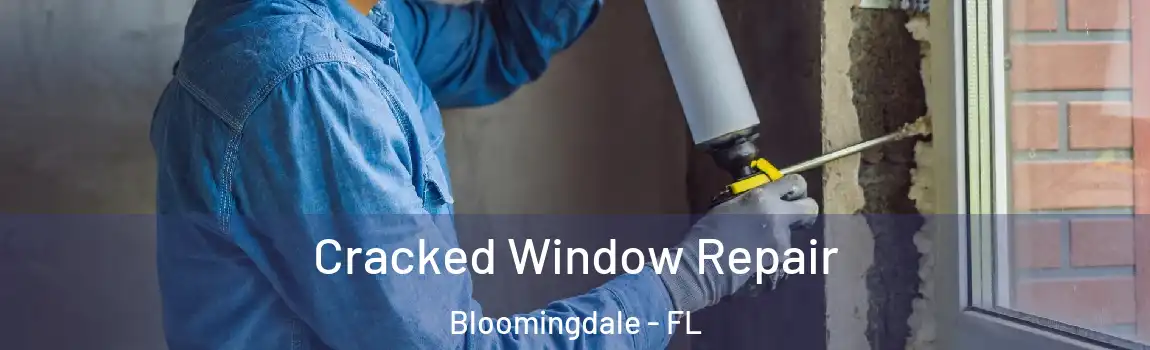  Cracked Window Repair Bloomingdale - FL