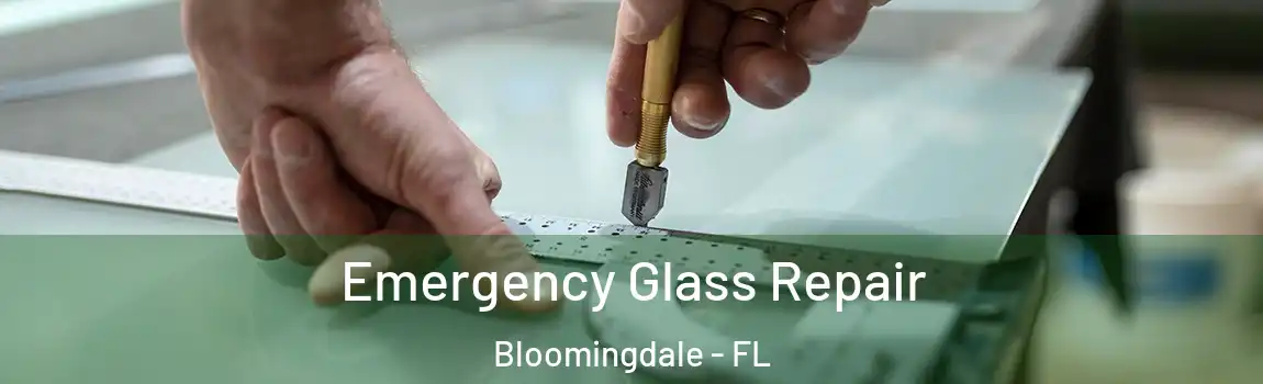  Emergency Glass Repair Bloomingdale - FL