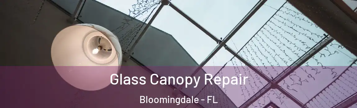  Glass Canopy Repair Bloomingdale - FL