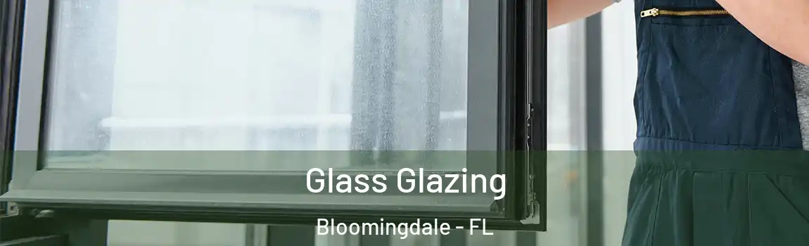  Glass Glazing Bloomingdale - FL