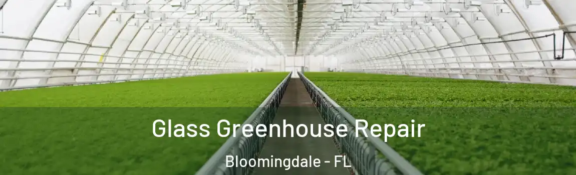  Glass Greenhouse Repair Bloomingdale - FL