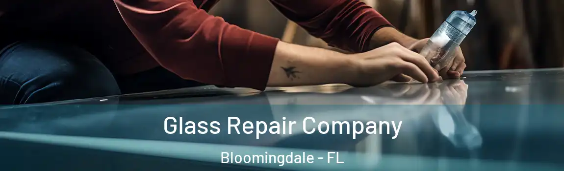  Glass Repair Company Bloomingdale - FL