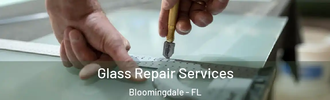  Glass Repair Services Bloomingdale - FL