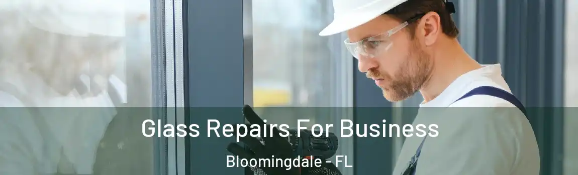  Glass Repairs For Business Bloomingdale - FL