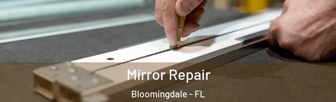  Mirror Repair Bloomingdale - FL