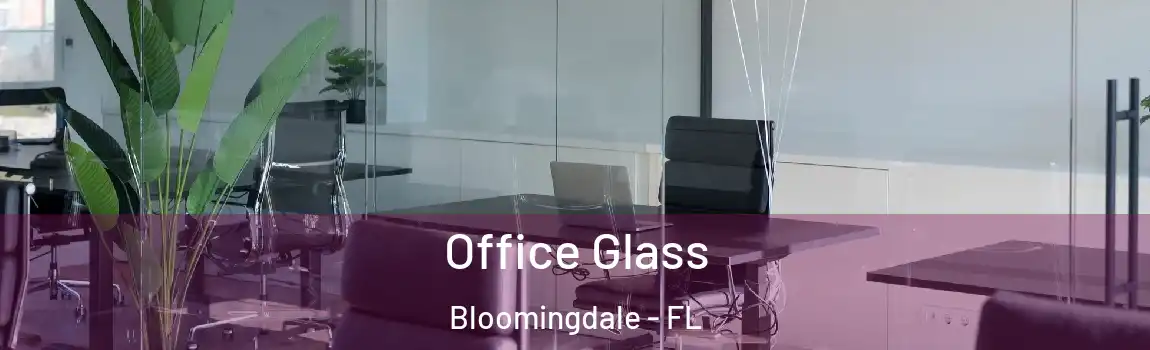  Office Glass Bloomingdale - FL