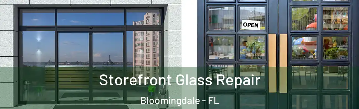 Storefront Glass Repair Bloomingdale - FL