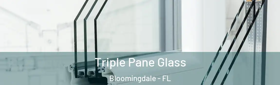  Triple Pane Glass Bloomingdale - FL