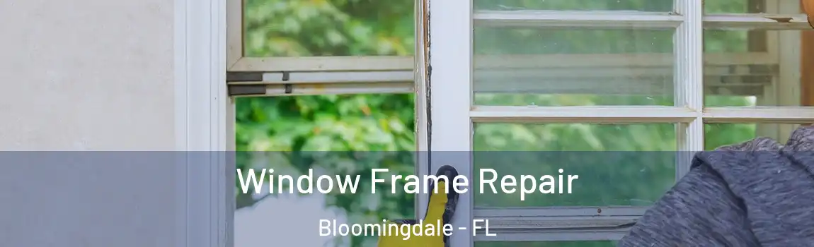 Window Frame Repair Bloomingdale - FL