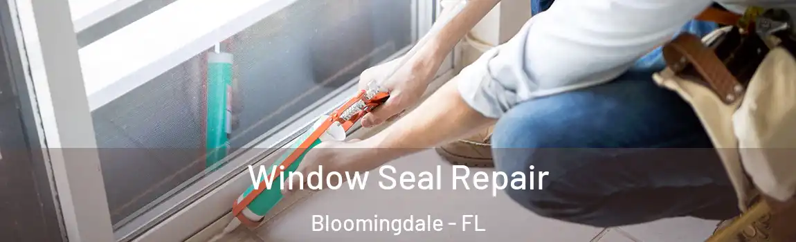  Window Seal Repair Bloomingdale - FL